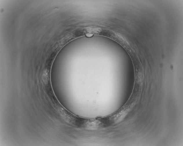 X0000059250321200510282002