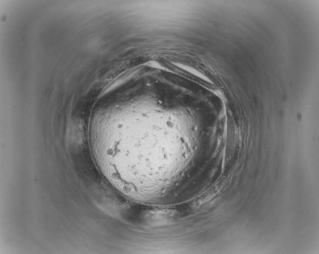 X0000059250323200510282002