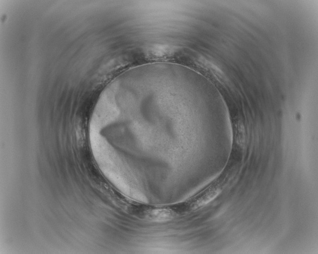 X0000059250324200510282002