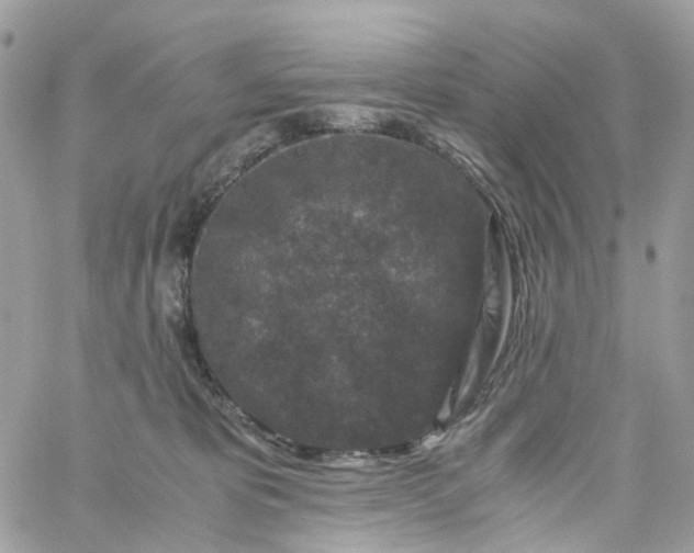 X0000059250325200510282002