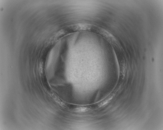 X0000059250326200510282002