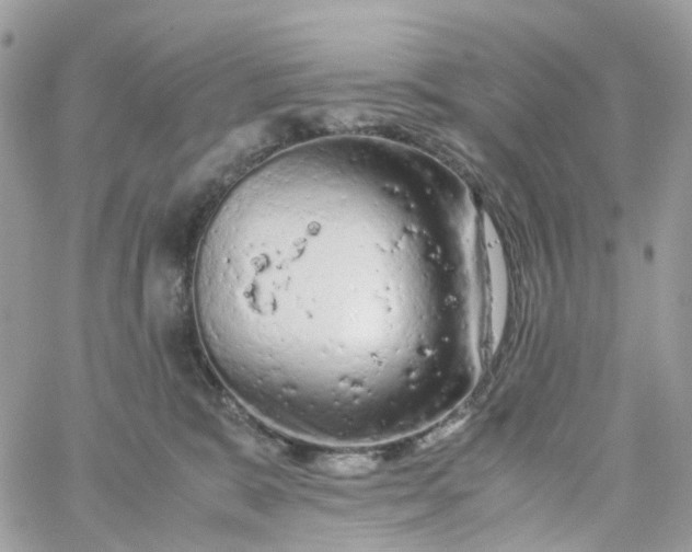 X0000059250327200510282002