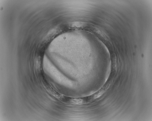 X0000059250328200510282002