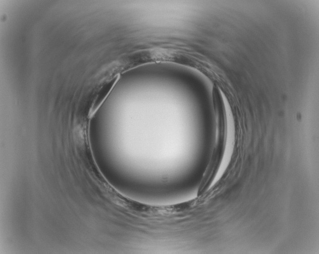 X0000059250329200510282002