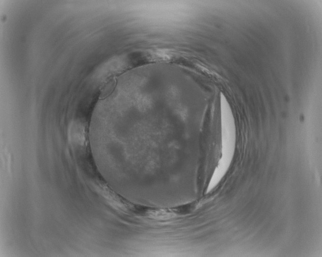 X0000059250331200510282002