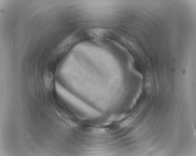 X0000059250332200510282002