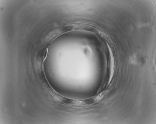 X0000059250333200510282002