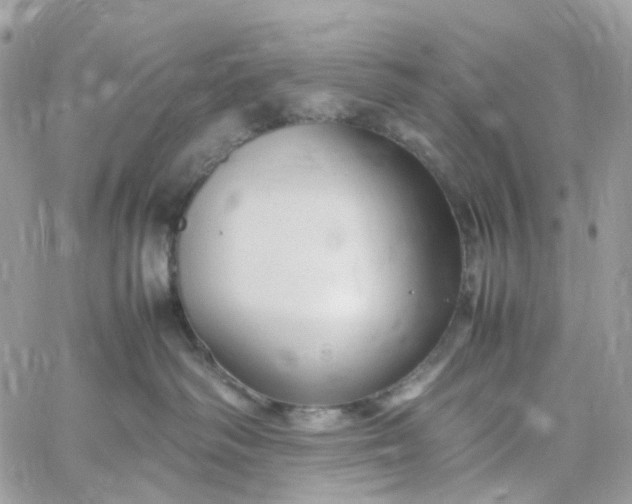 X0000059250334200510282002