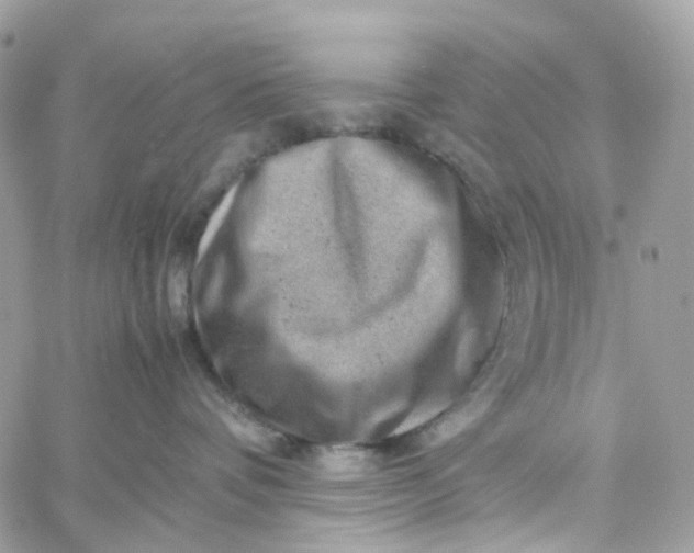 X0000059250336200510282002