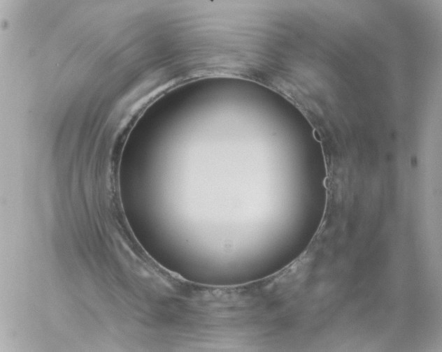 X0000059250338200510282001