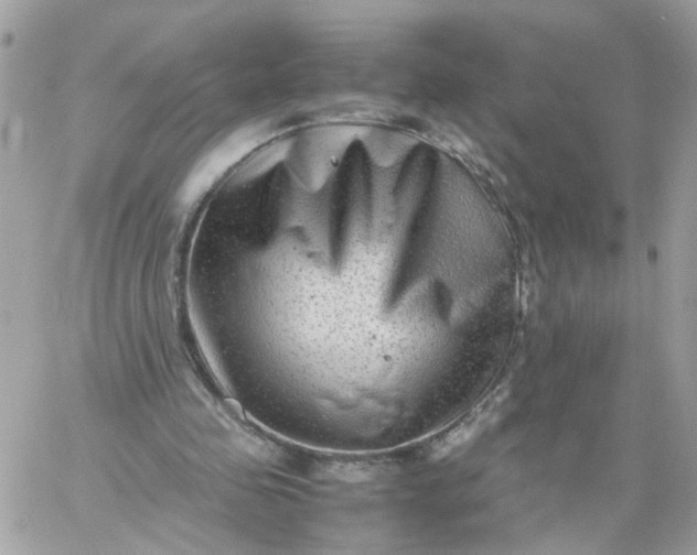 X0000059250341200510282001