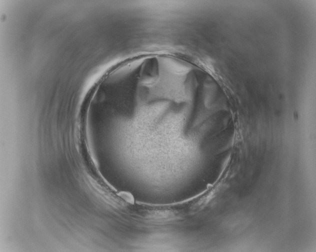 X0000059250342200510282001