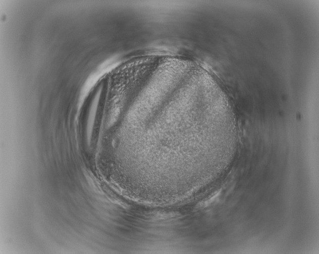 X0000059250343200510282001