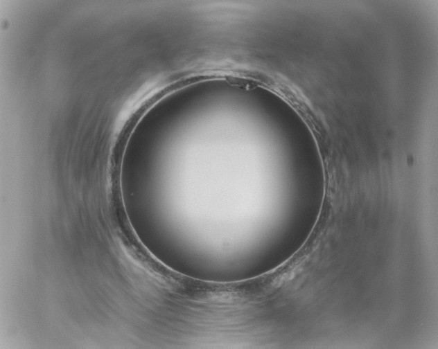 X0000059250344200510282001