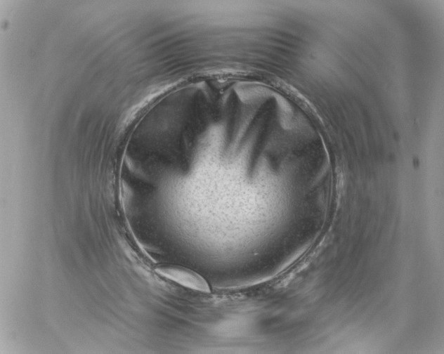 X0000059250345200510282001