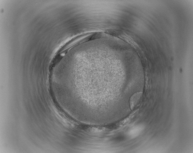 X0000059250346200510282001