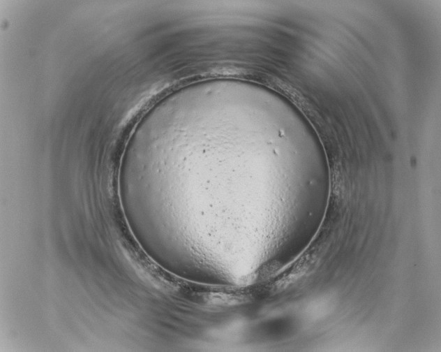 X0000059250347200510282001