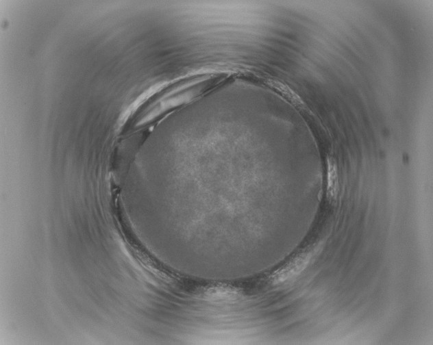 X0000059250348200510282001