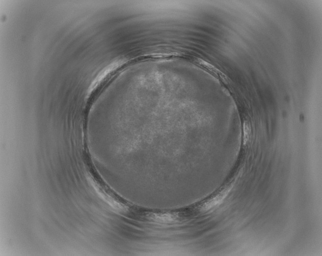 X0000059250349200510282002