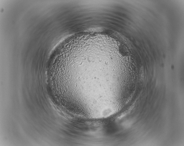 X0000059250351200510282002