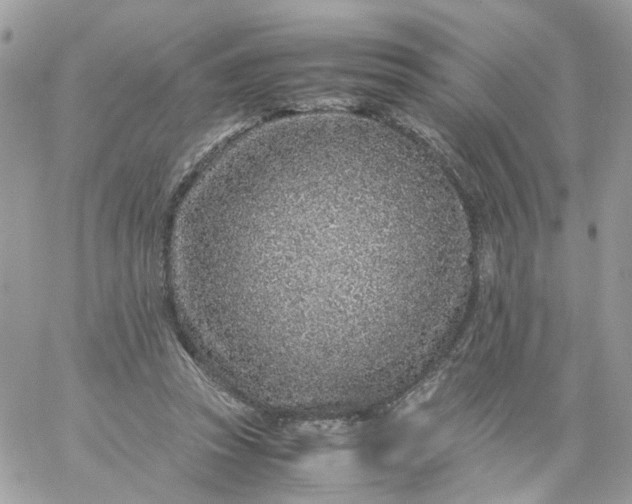 X0000059250353200510282002