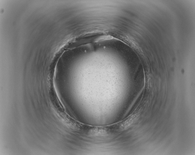 X0000059250354200510282002