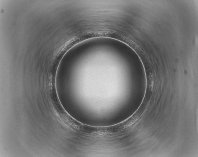 X0000059250356200510282002