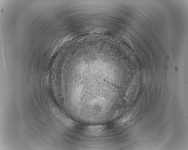 X0000059250357200510282002