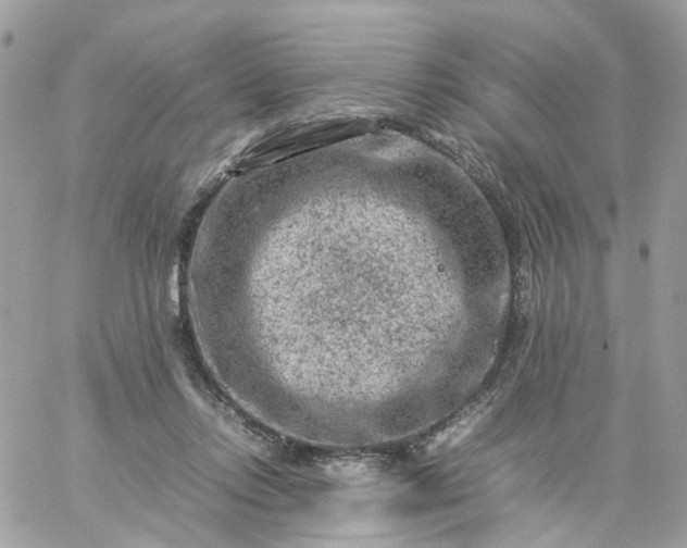 X0000059250358200510282002