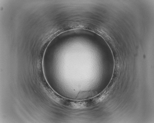 X0000059250359200510282002