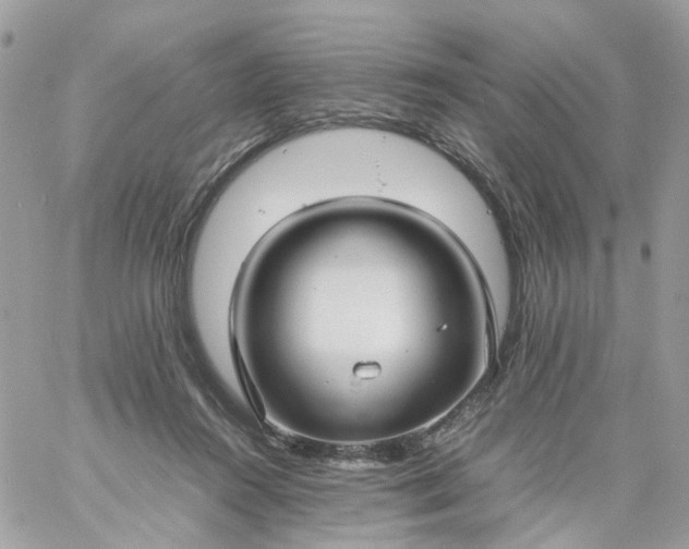 X0000059250360200510282002