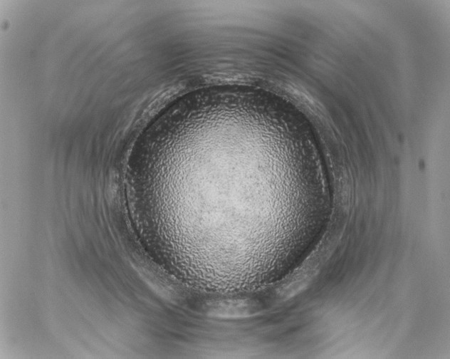 X0000059250361200510282002