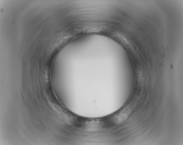 X0000059250362200510282002