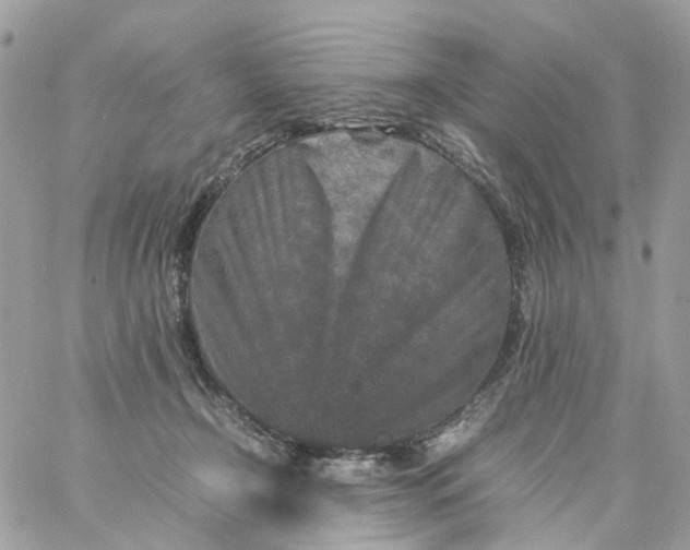 X0000059250366200510282002