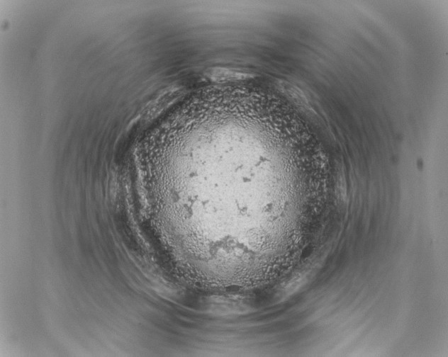 X0000059250367200510282002