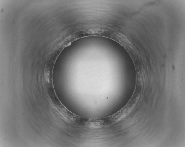 X0000059250368200510282002