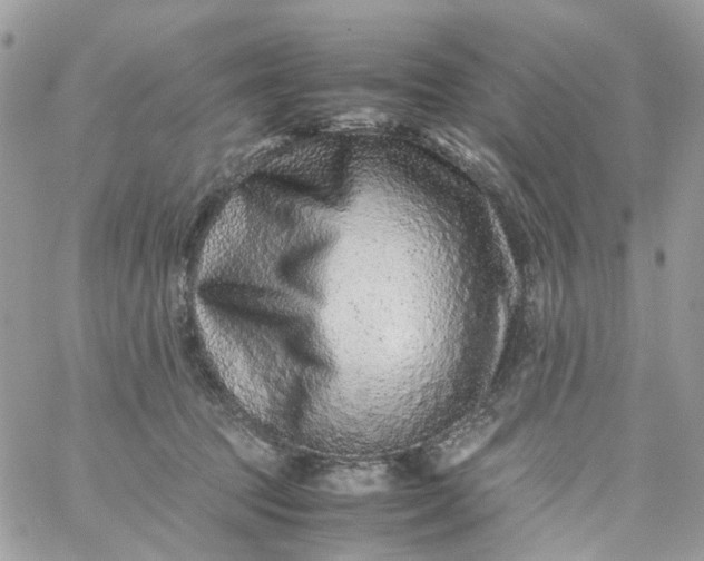 X0000059250369200510282002