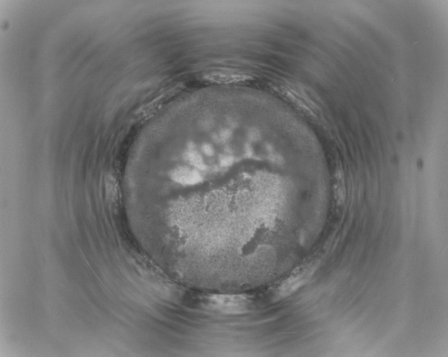 X0000059250371200510282002