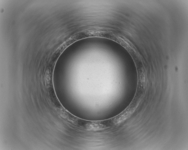 X0000059250372200510282002