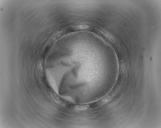 X0000059250373200510282002