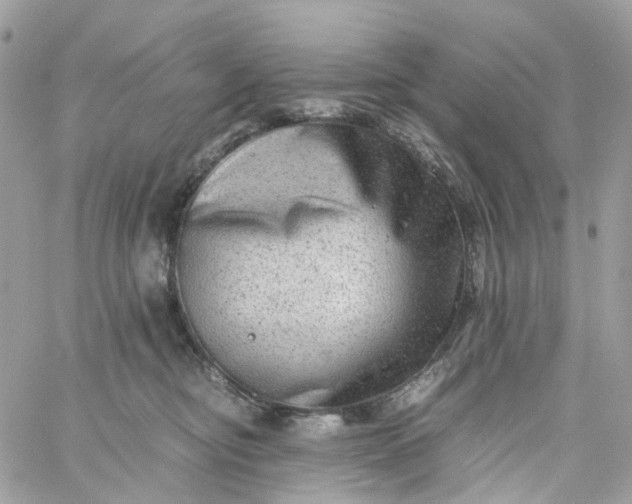 X0000059250374200510282002