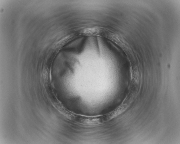 X0000059250375200510282002