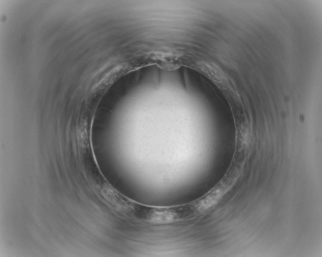 X0000059250376200510282002