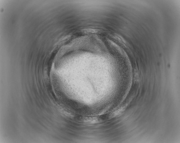 X0000059250377200510282002