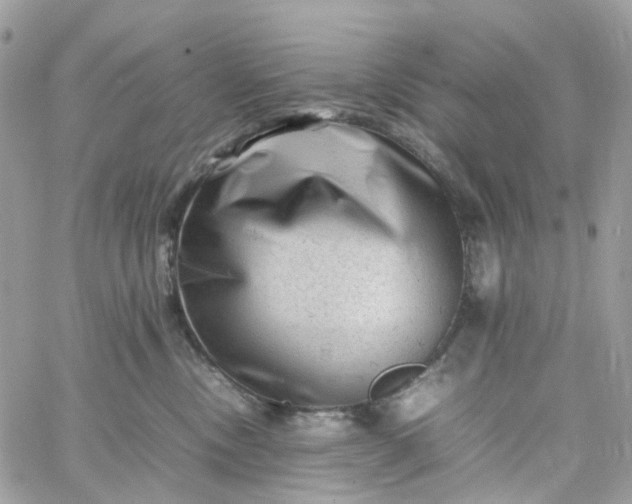 X0000059250378200510282002