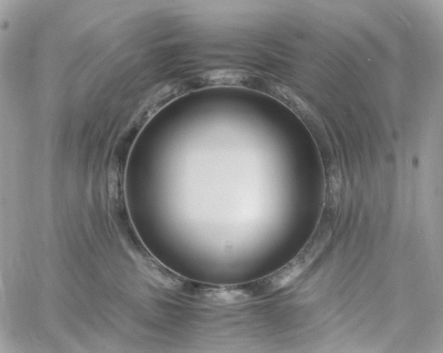 X0000059250379200510282002