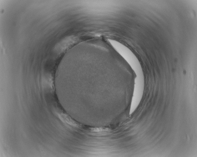 X0000059250380200510282002