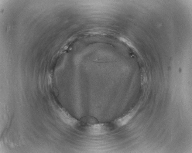 X0000059250382200510282002