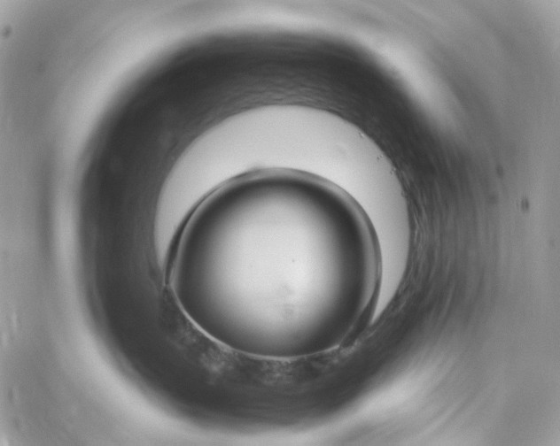 X0000059250383200510282002