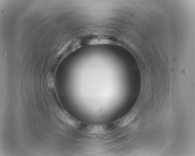 X0000059250384200510282002